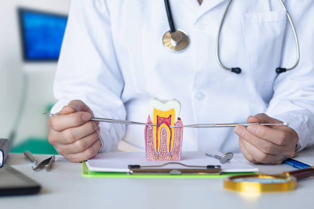 Best Emergency Root Canal Treatment in Dillingham, AK